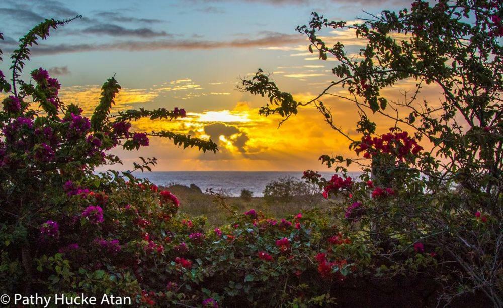 Kona Koa Lodge هانجا روا المظهر الخارجي الصورة